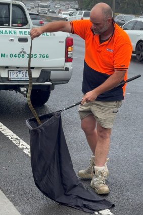 Nanninga bags the snake.