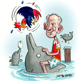 Going swimmingly ... Wayne Bennett and his Dolphins.