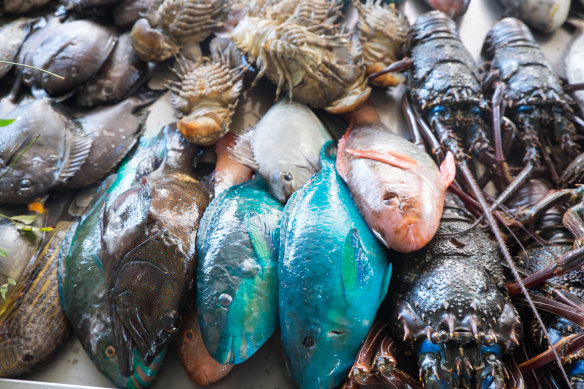 The fish market in Apia.