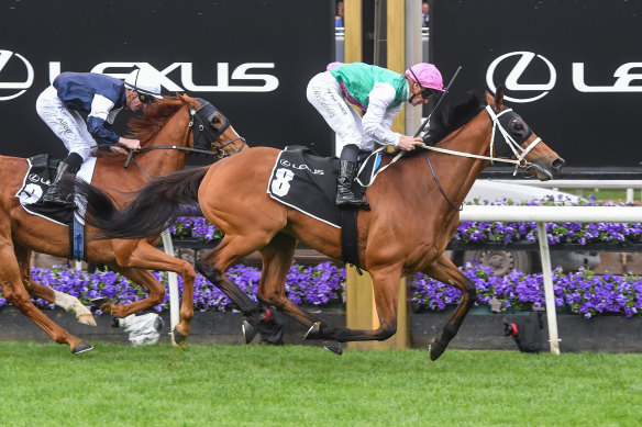 Surefire  ridden by James McDonald  wins ahead of Serpentine ridden by Johnny Allen. 