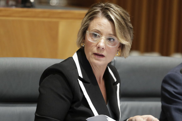 Labor's Deputy Senate Leader Kristina Keneally said Senator McKenzie had "fired a warning shot across Prime Minister Scott Morrison's bow".