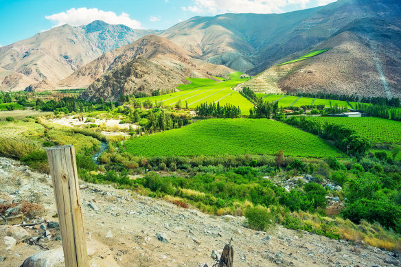 Elqui Valley is one of the most beautiful in South America.