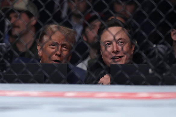 President-elect Donald Trump looks on with Elon Musk, right, at a UFC 309 mixed martial arts flyweight title bout, on Saturday.