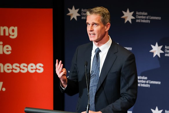 Assistant minister Andrew Charlton is viewed as a future treasurer. 