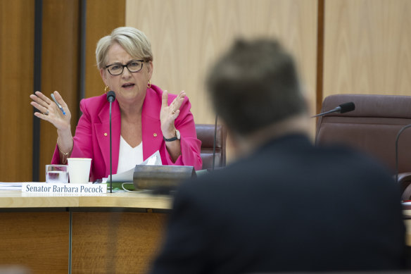 Senator Barbara Pocock, and PwC Australia chief executive Kevin Burrowes during a hearing today.