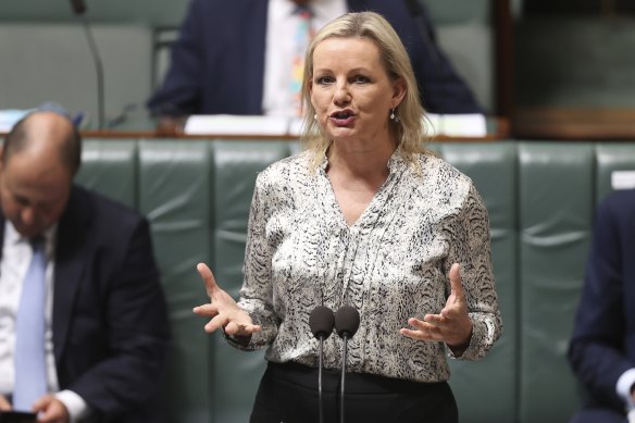 Environment Minister Sussan Ley. 