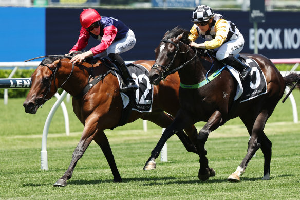 Zac Lloyd rides Open Secret (left) to victory at Randwick on January 25.