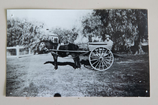 The horse and cart the Hendy children used to get to school in the 1930s.