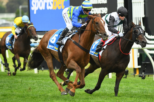 Another Wil, left, edged out Mr Brightside in last month’s group 1 Orr Stakes at Caulfield.