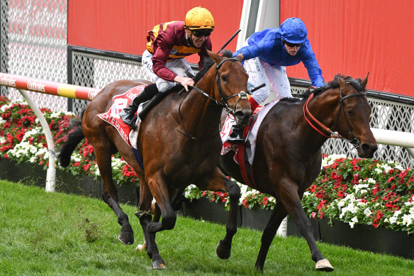 State of Rest (outside) and Anamoe cross the line during Saturday’s controversial Cox Plate at Moonee Valley.