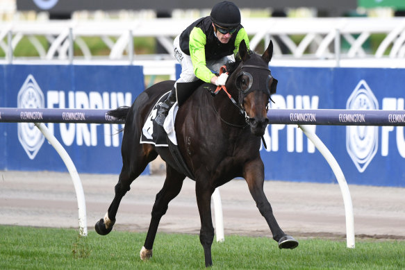 Mark Zahra and Realm Of Flowers won the Andrew Ramsden last year. 