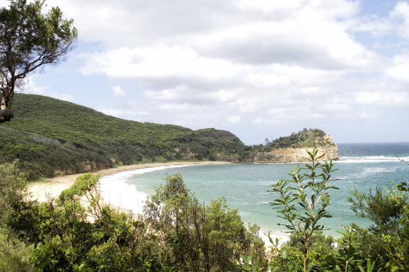 Maitland Bay Track.