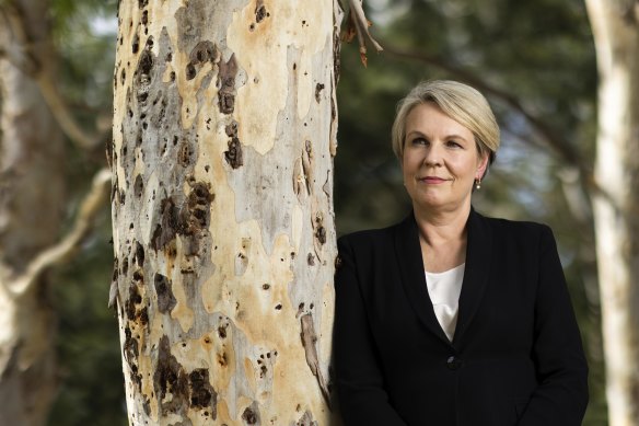 Thoughtful self-possession emerges as a Plibersek family trait in Margaret Simons’ biography.