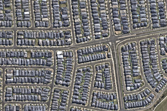 Spot the tree: Marsden Park, 2023. 
