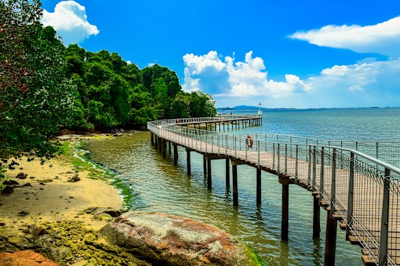The coastal boardwalk at the Chek Jawa Wetlands on Pulau Ubin.