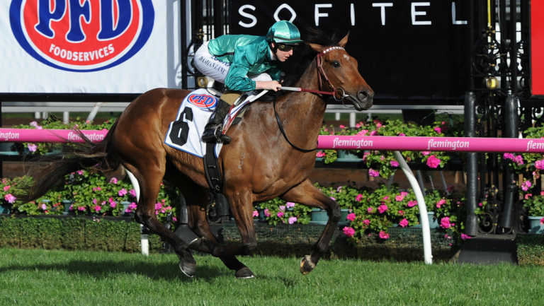 Humidor may miss the Seppelt Wine Stakes.