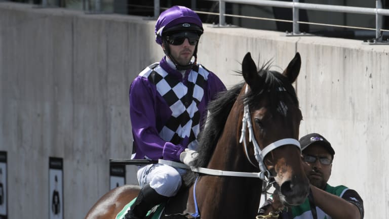 Up in trip: Chris Waller's Zalatte steps up to 1400m at Rosehill today.