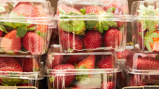 Growers buy metal detectors as minister demands jail for needles-in-strawberries 'idiot'