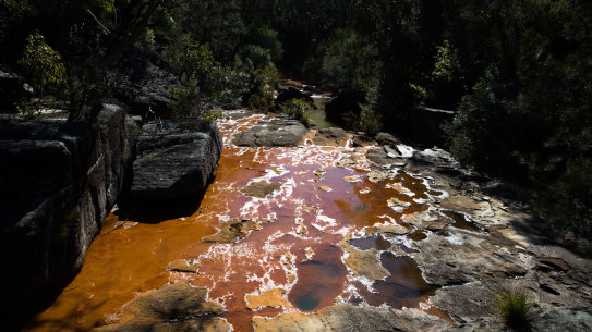 The Berejiklian government says it will beef up oversight of coal mining in Sydney's catchment.