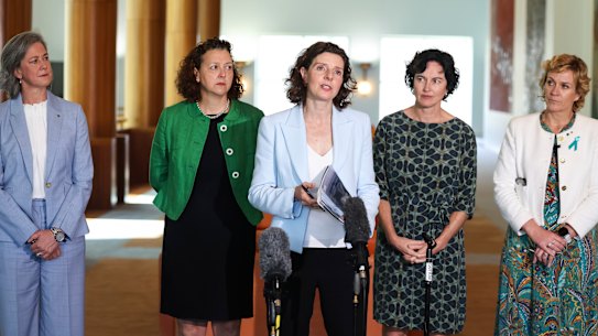 Teal independents who may form part of the new political party.