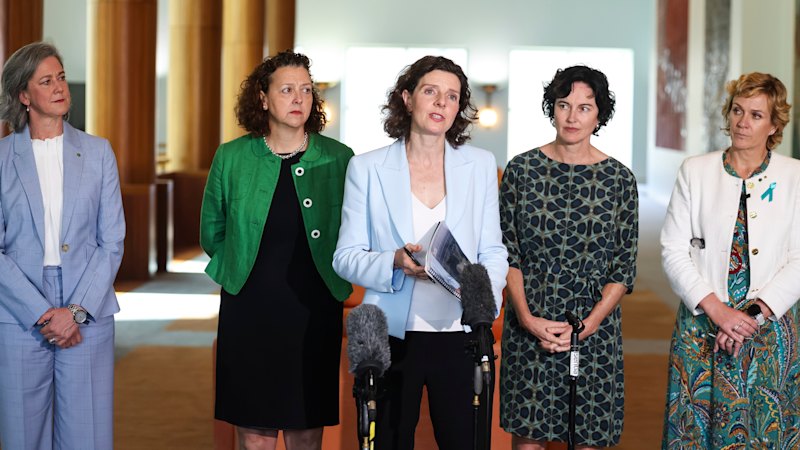 Australia news LIVE: Teals in talks to form new political party; Flotilla activists return home; Antisemitism royal commission to resume today