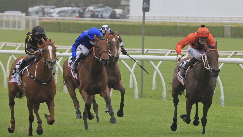 Tips and previews for racing at Kensington on Wednesday