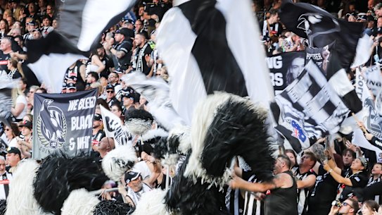 The Collingwood cheer squad at home in the Ponsford Stand.