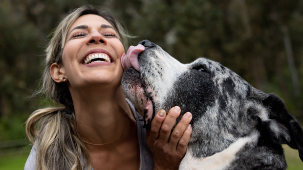 Is it safe for your dog to lick your face?