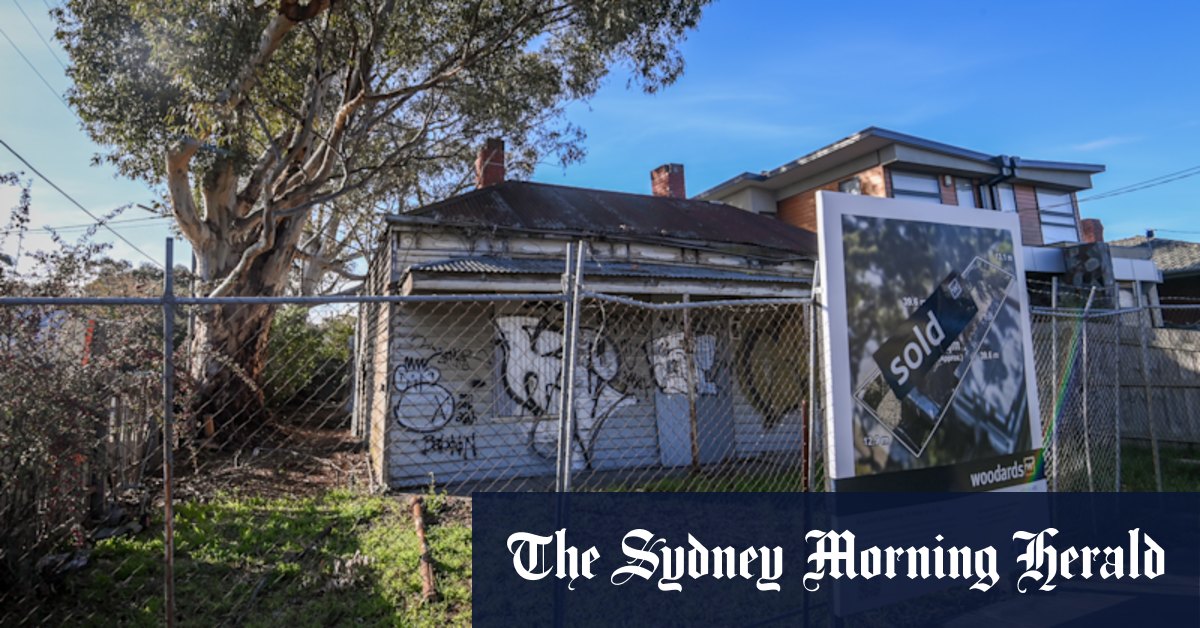 They bought a knockdown rebuild and got a fight over Thornbury’s tallest trees