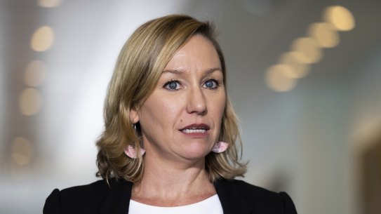 Greens Senator Larissa Waters said there were too many barriers to abortion, contraception, sexual healthcare, and maternity services in Australia