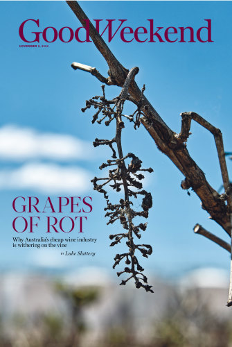 The November 9 Edition