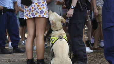The Law Enforcement Conduct Commission is preparing to release a report on unlawful strip searches at music festivals.