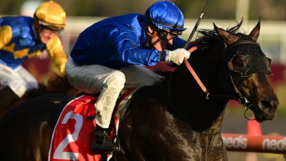 Godolphin have selected Ingratiating to fill its Everest slot.