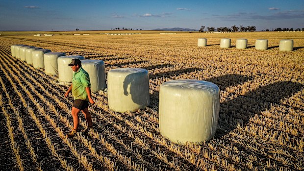 Farmers are warning the federal government they will not bear the burden of future climate policy. 