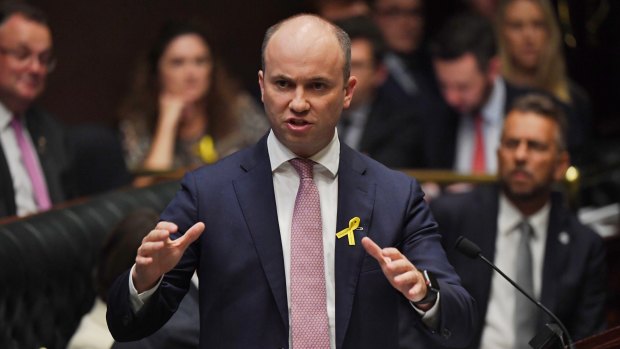 New NSW Energy and Environment Minister Matt Kean tells Parliament on Wednesday that he plans to take climate change seriously. 