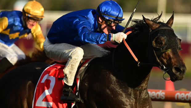 Godolphin have selected Ingratiating to fill its Everest slot.