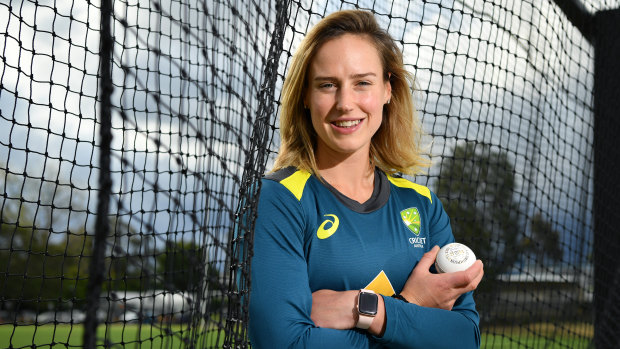 Net gain: Ellyse Perry has set the standard for cricket this year.