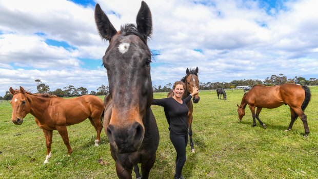 Nikki Cook rehomes or retrains about 100 thoroughbred horses a year. 