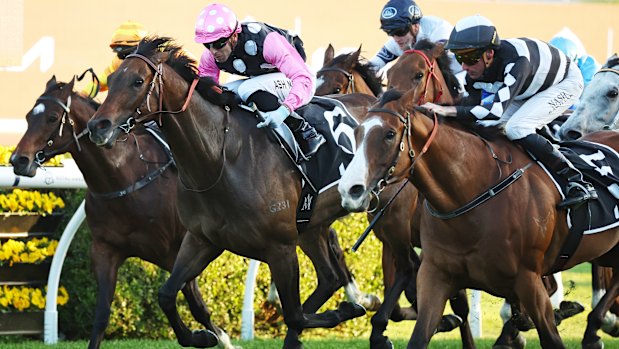 Beauty Charge, carrying the pink, white and black colours, finishes second on debut in Australia in October at Randwick.