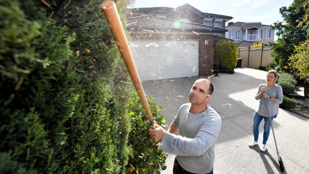 Mike Jez shows the amount of dust which settles on the trees at his home from the landfill site hundreds of metres away. The Jez family don’t go outside on windy days when the stench is strong.