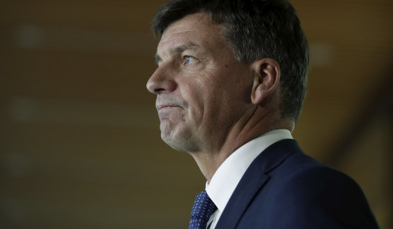 Angus Taylor is set to meet with other G20 energy ministers this week.