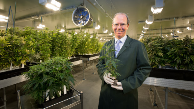 Cann Group's chief executive Peter Crock among the pot plants. 