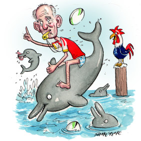 Riding the Dolphins ... Wayne Bennett.