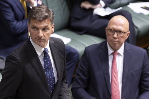 Angus Taylor and Peter Dutton in parliament in March.