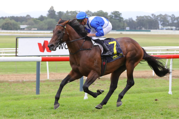 Nash Rawiller and Hawaii Five Oh waltzes away with the Hawkesbury Guineas in April.