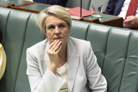 “Makes me sick to my stomach”: Tanya Plibersek has blasted comments made by Shore principal John Collier.