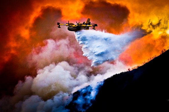 Water bombers were on the front lines of a violent forest fire on Sunday in the hills of the municipality of Biguglia, on the island of Corsica.