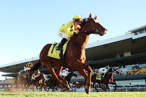 Tim Clark takes General Salute to victory in the Winter Stakes.