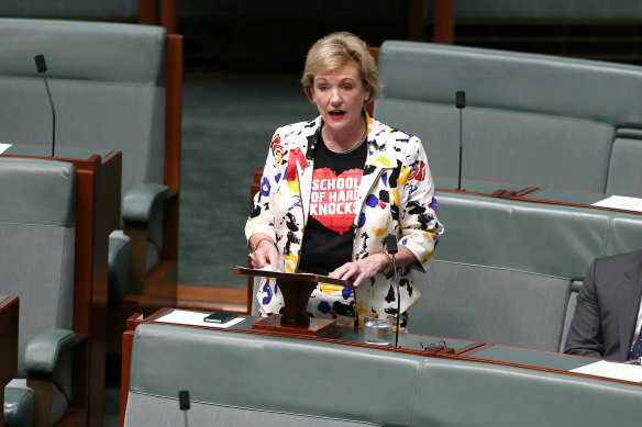 Former LNP MP for Ryan Jane Prentice, pictured here in 2014,  lost preselection for the seat and was appointed to the Administrative Appeals Tribunal in 2020.