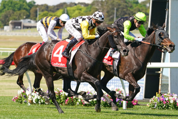 Carif (outside) wins the Sandown Cup on Saturday, the same day his dam died. 